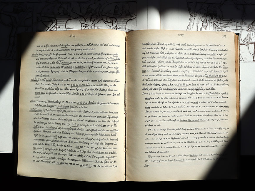 Auszug aus dem “Assyrischen Wörterbuch” von Friedrich Delitzsch
